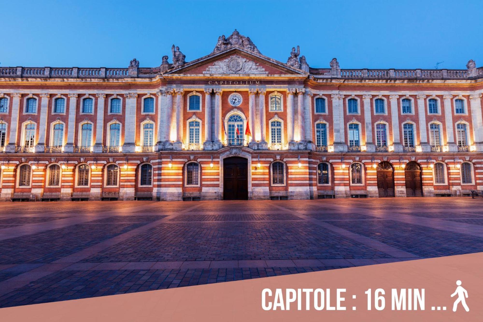 Chartreuse, Clim, Parking, Terrasse Au Calme Apartment Toulouse Ngoại thất bức ảnh