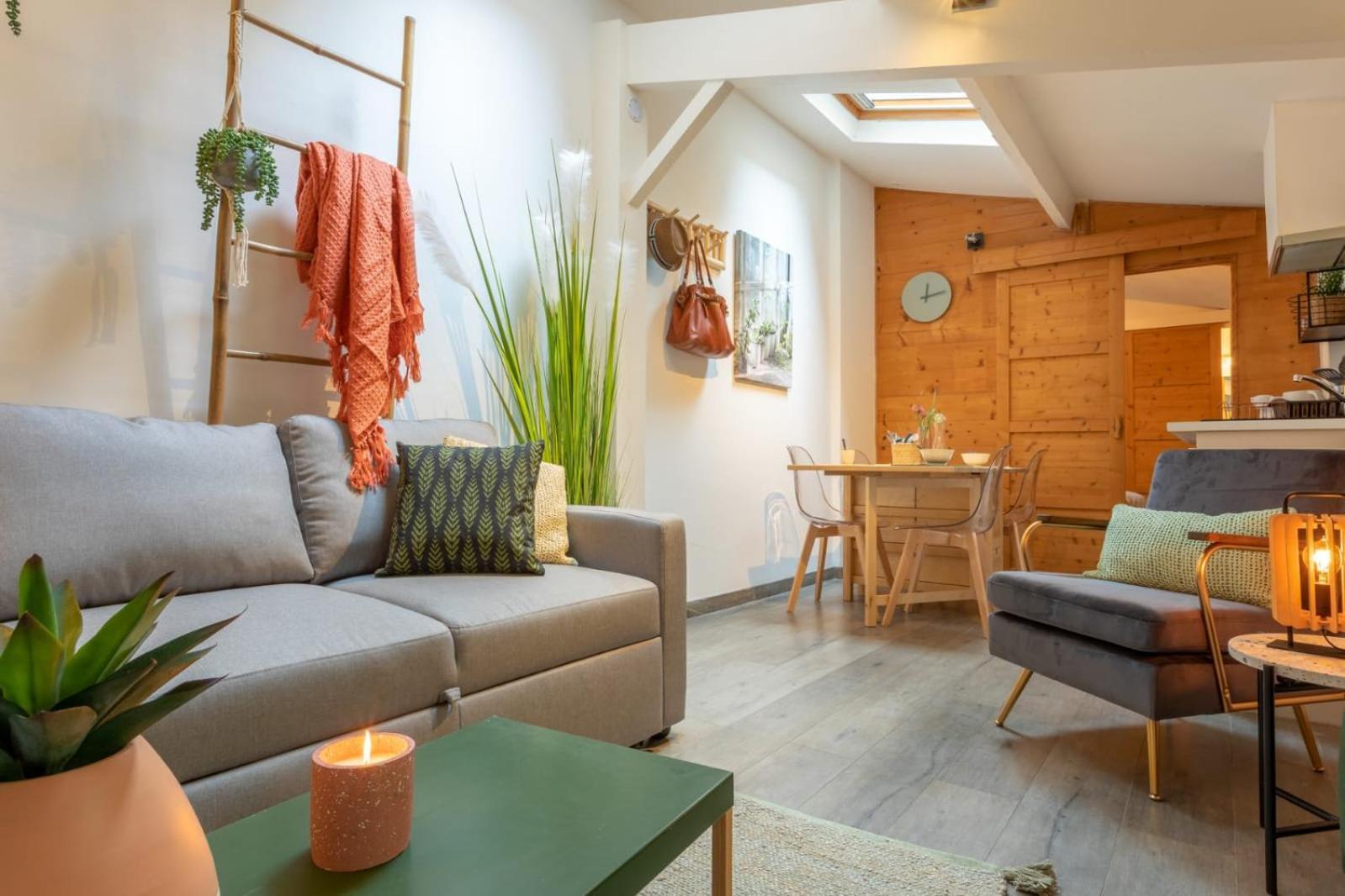 Chartreuse, Clim, Parking, Terrasse Au Calme Apartment Toulouse Ngoại thất bức ảnh